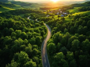 Luchtfoto van kronkelende landweg door groen bos met zonnepanelen op daken, duurzame infrastructuur in natuurlandschap