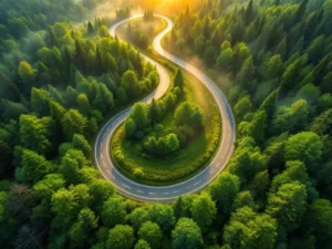 Luchtfoto van kronkelende weg door groen bos tijdens gouden uur met ochtendmist en warme natuurlijke belichting